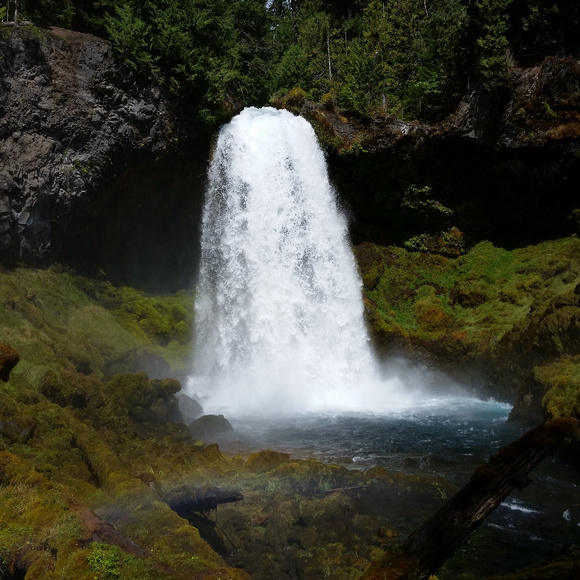 Meet your Posher, - Picture 1 of 1